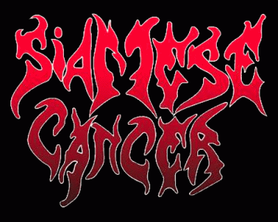 logo Siamese Cancer logo Siamese Cancer